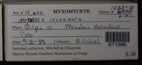 Image Associated With the Occurence